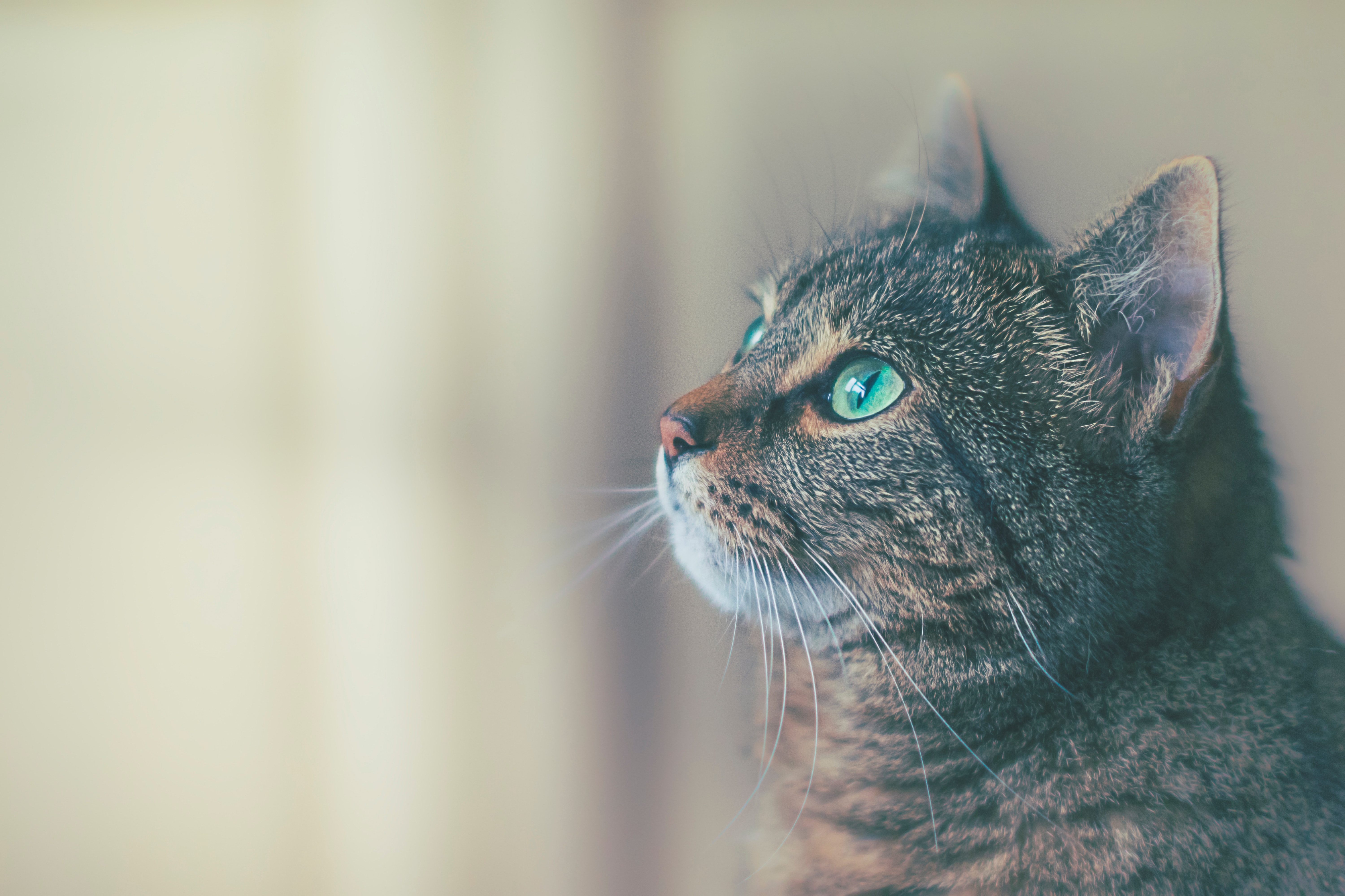 james-sutton-705775-unsplash-1